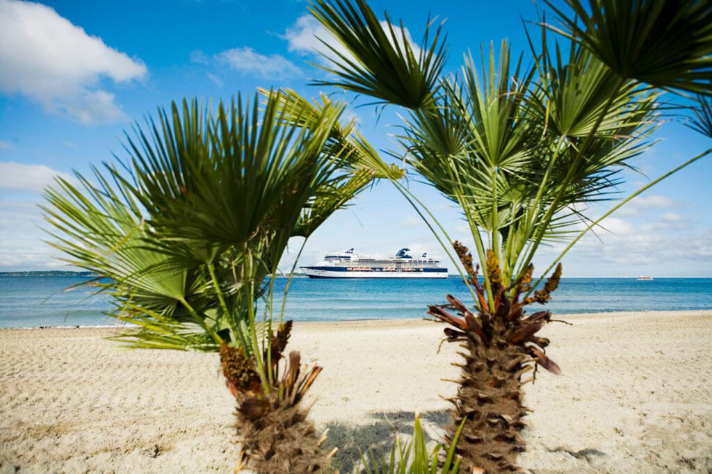 Kryssningsfartyg skymtas mellan palmer på stranden.